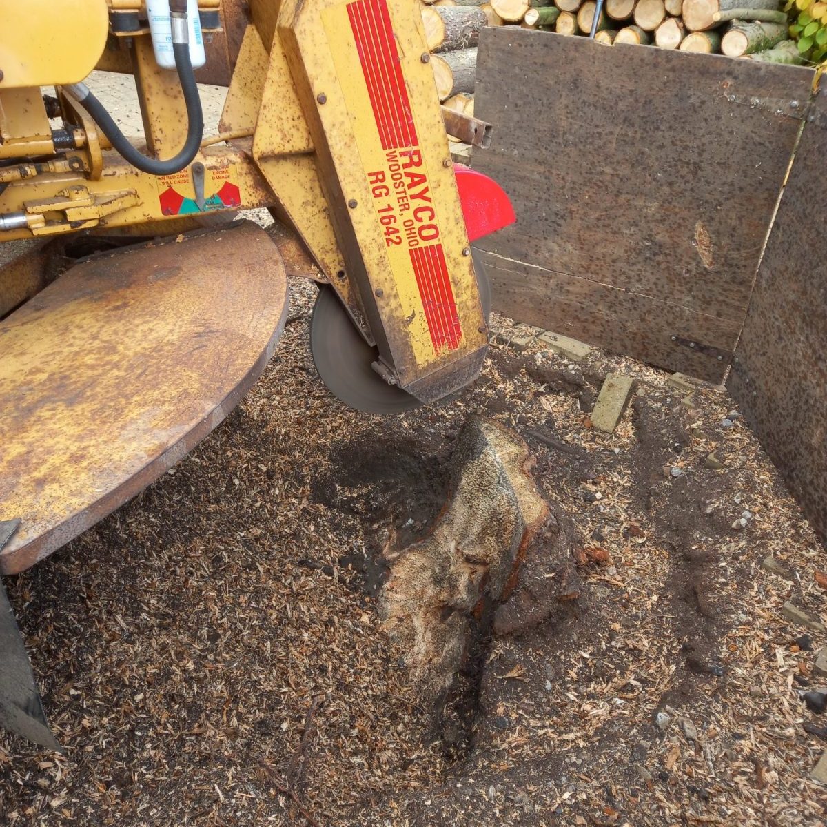 Large stumps ground out in Barnoldswick 3