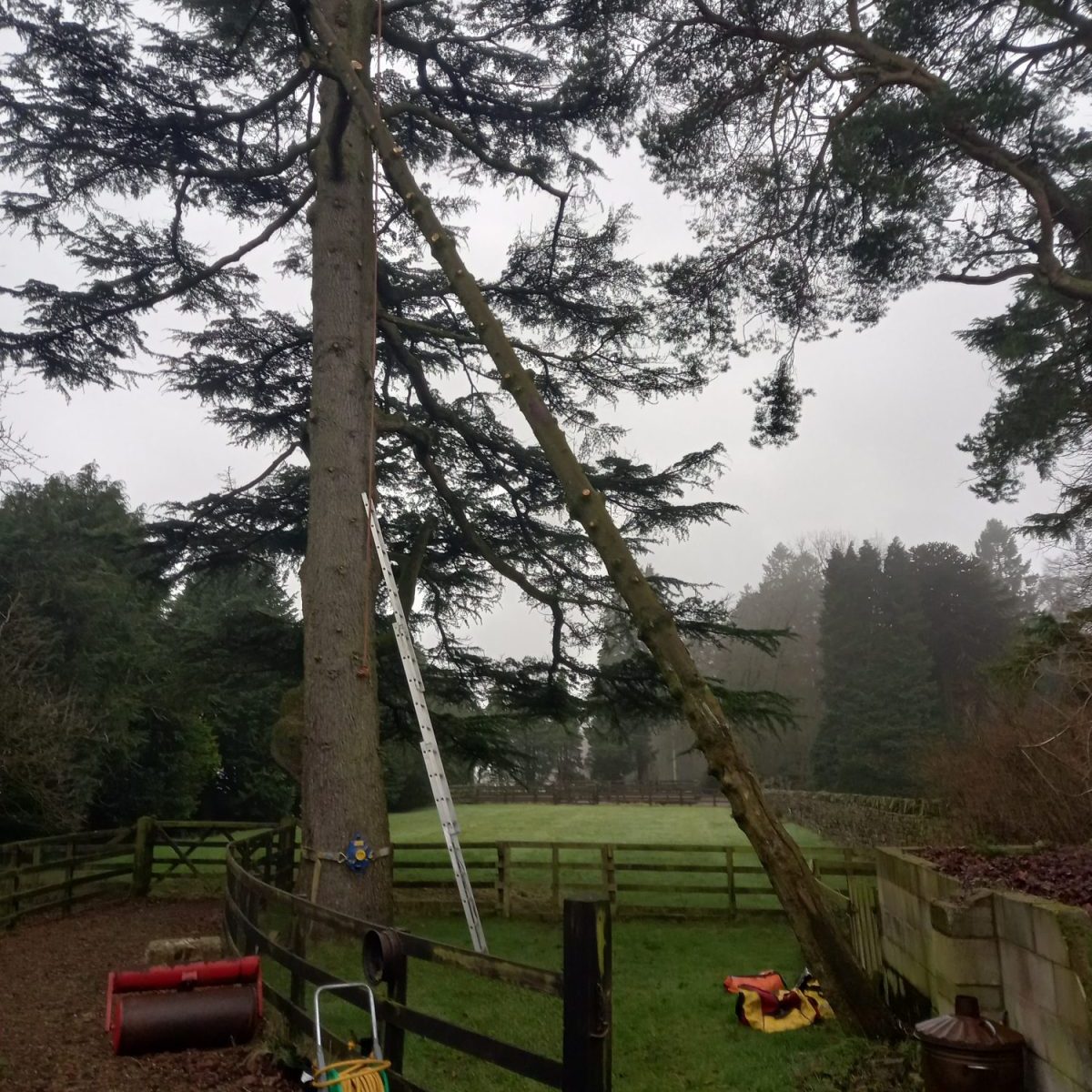 Safely dealing with storm damage in Bolton by bowland 1