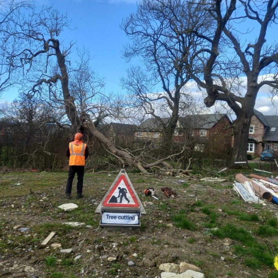 Storm damage clearance for commercial client in Clitheroe 1