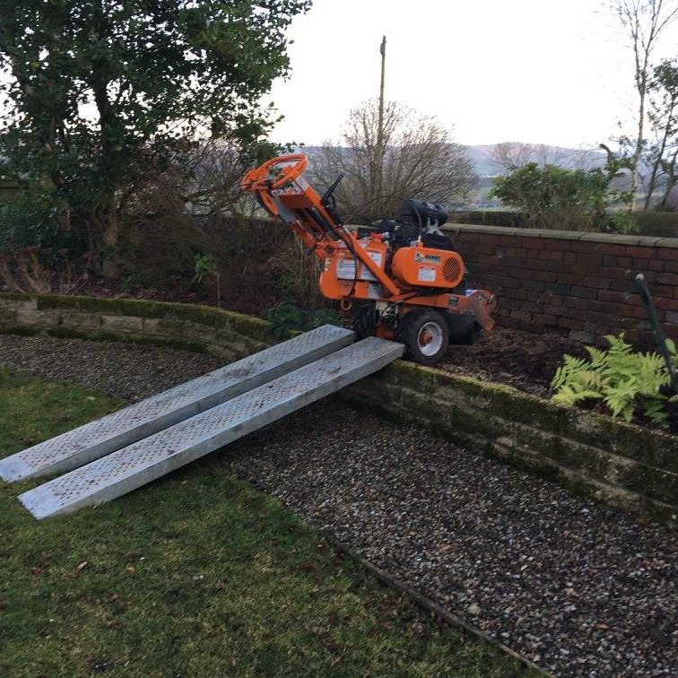 cms-tree-seervices-stump-grinding-colne-3