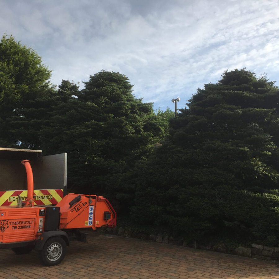 cms-tree-services-clearance-removal-higham