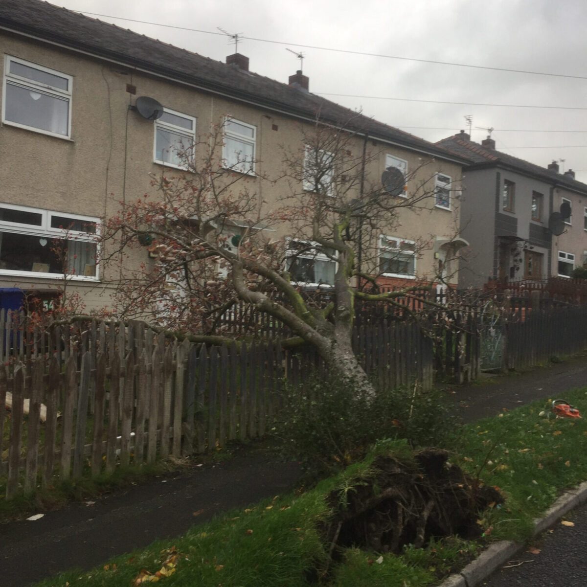 cms-tree-services-commerical-emergency-call-out-pendle-council