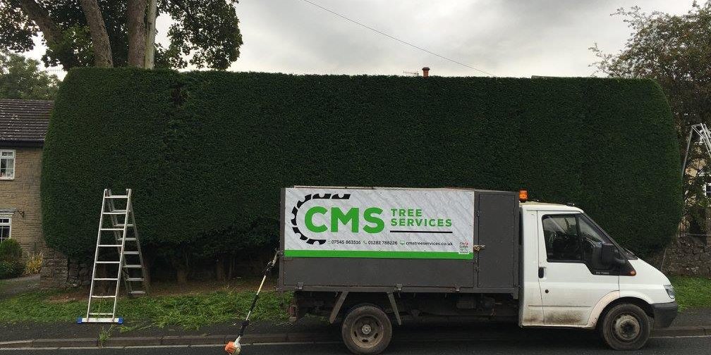 cms-tree-services-hedge-trimming-barnoldswick
