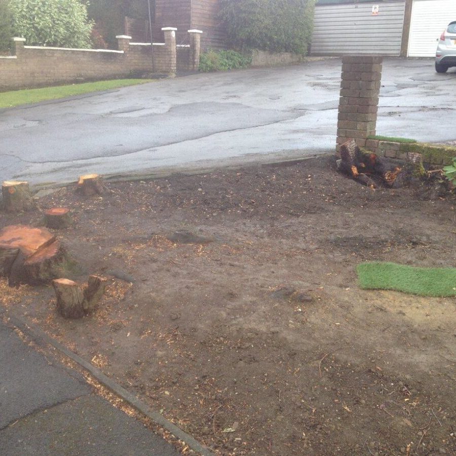 cms-tree-services-stump-grinding-barnoldswick-before