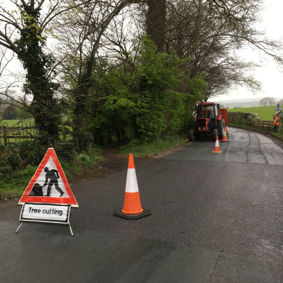 cms-tree-services-sycamore-removal-chatburn-roadside-safety