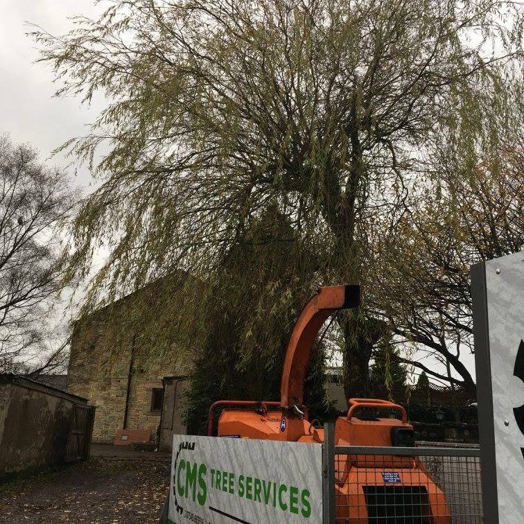 cms-tree-services-willow-tree-removal-burnley-shredding-machine