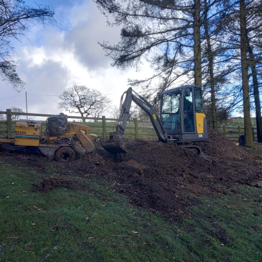 grinding out large spruce stumps at higham 9