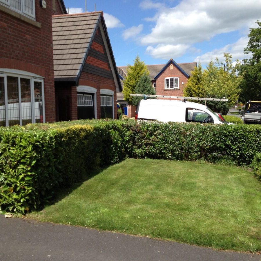 hedge reduction trimming clitheroe (2)