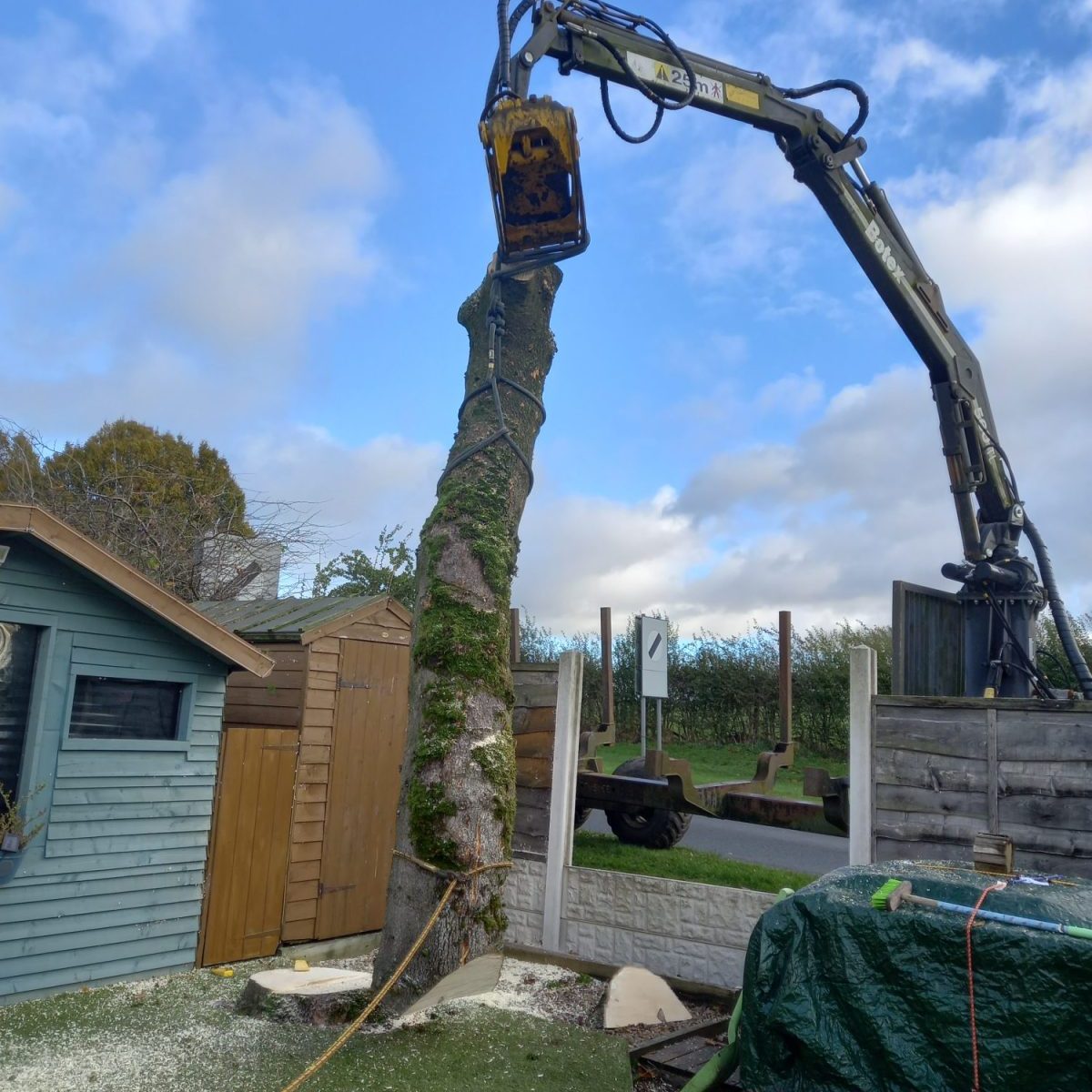 lifting a tree trunk out of a garden in barnoldswick 2