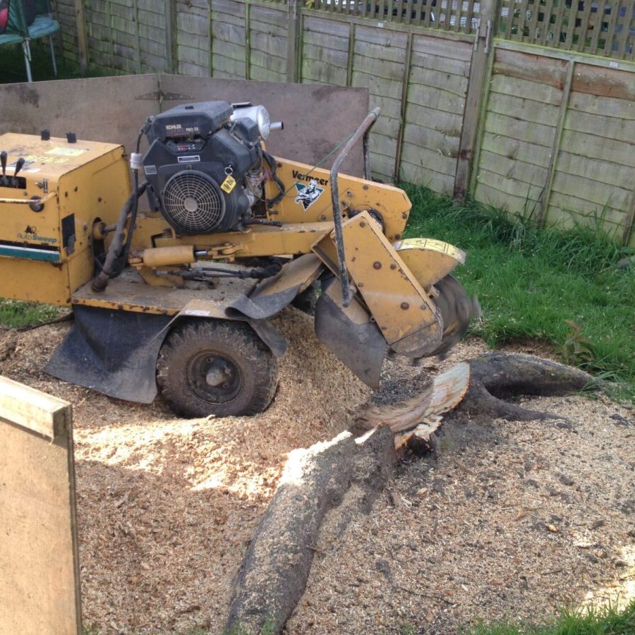 stump grinding newsholme grinding