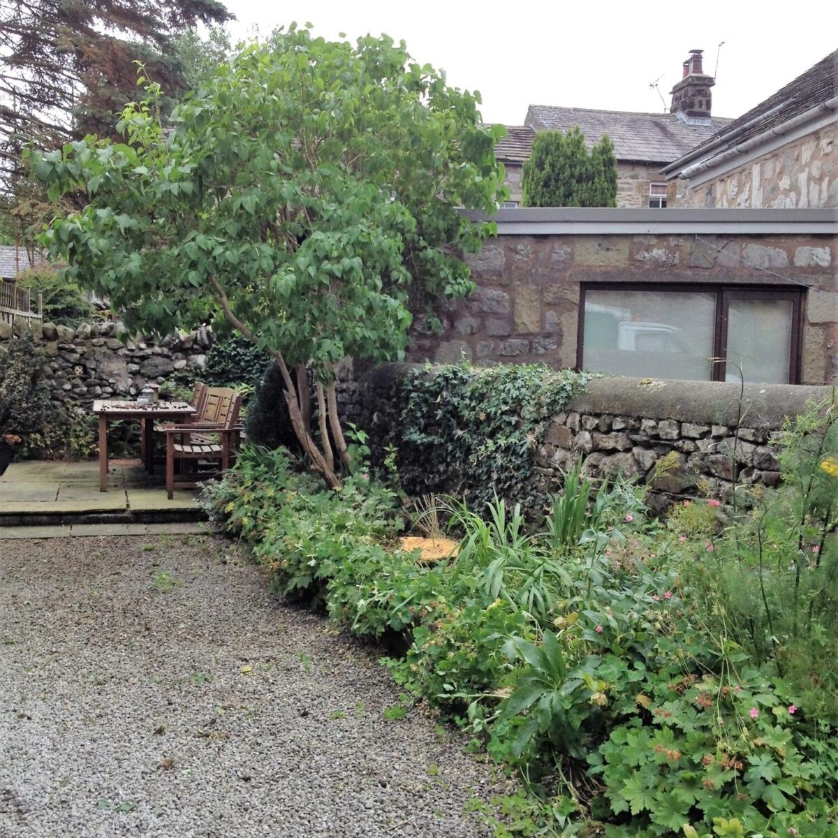 tree removal langcliffe (3)