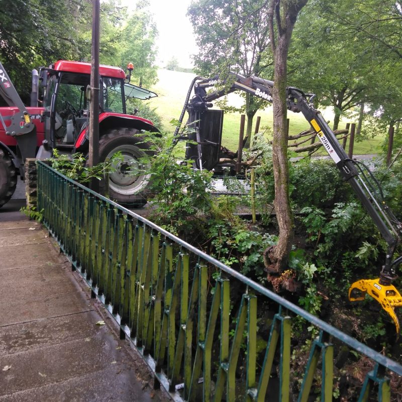 call out fallen tree in beck valley gardens barnoldswick 3