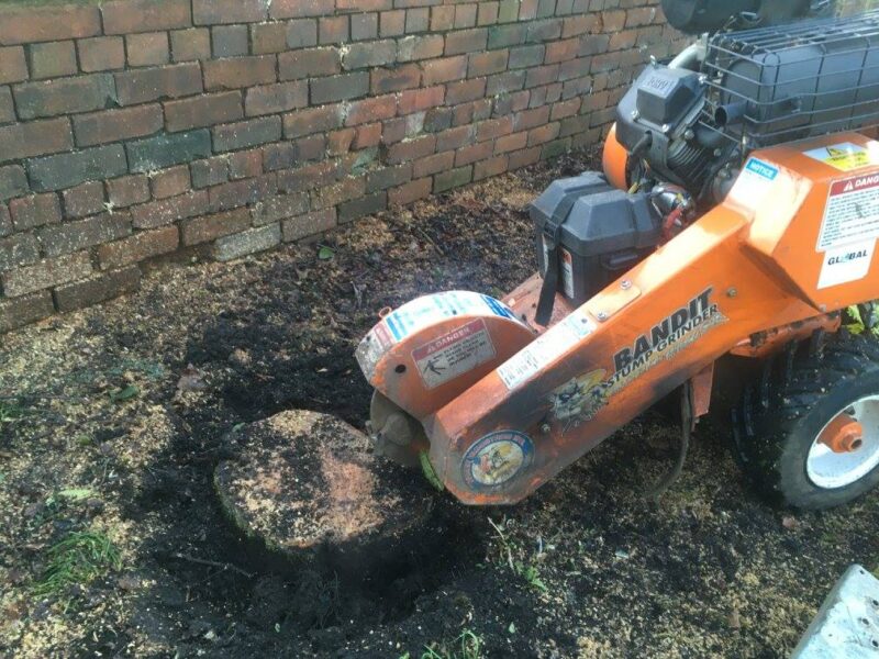 cms-tree-seervices-stump-grinding-colne-2