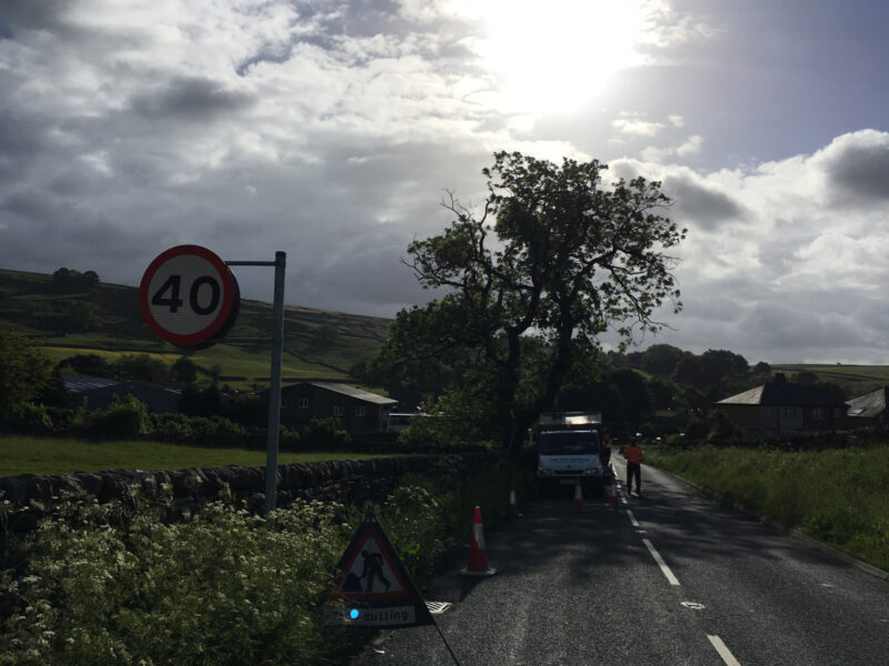 cms-tree-services-ash-tree-reduction-hebden-roadside