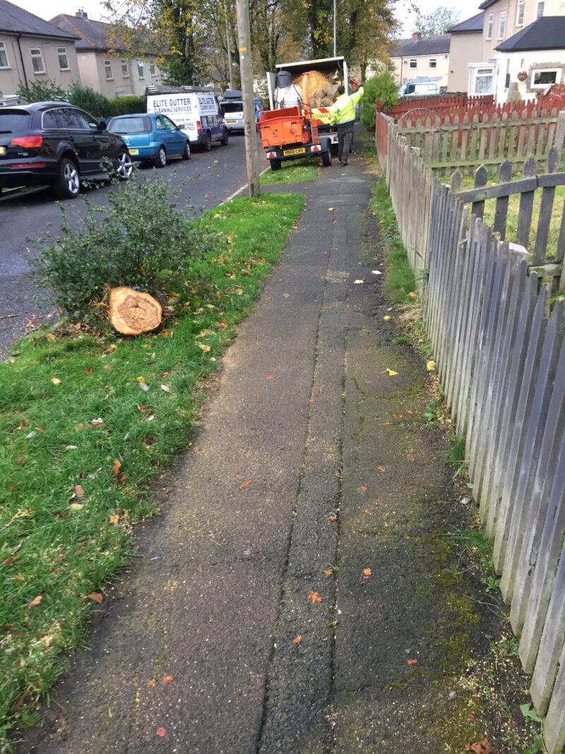 cms-tree-services-commerical-pendle-council-call-out