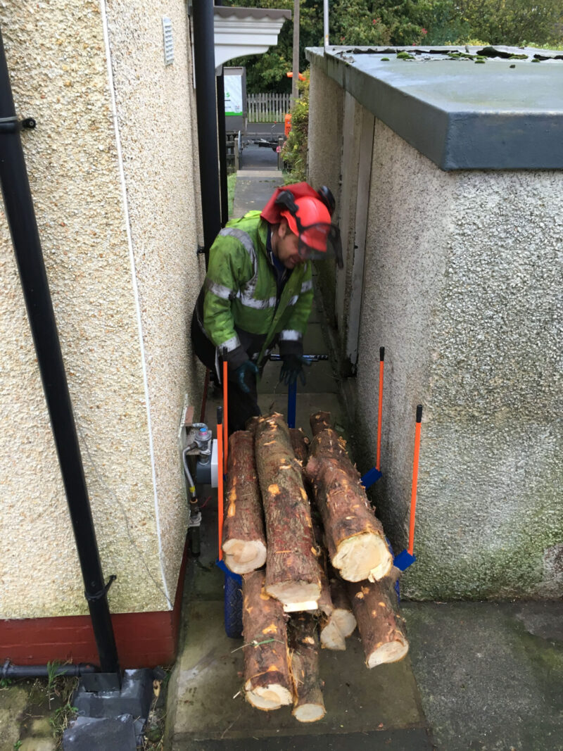 cms-tree-services-conifer-clearance-barnoldswick-small-spaces