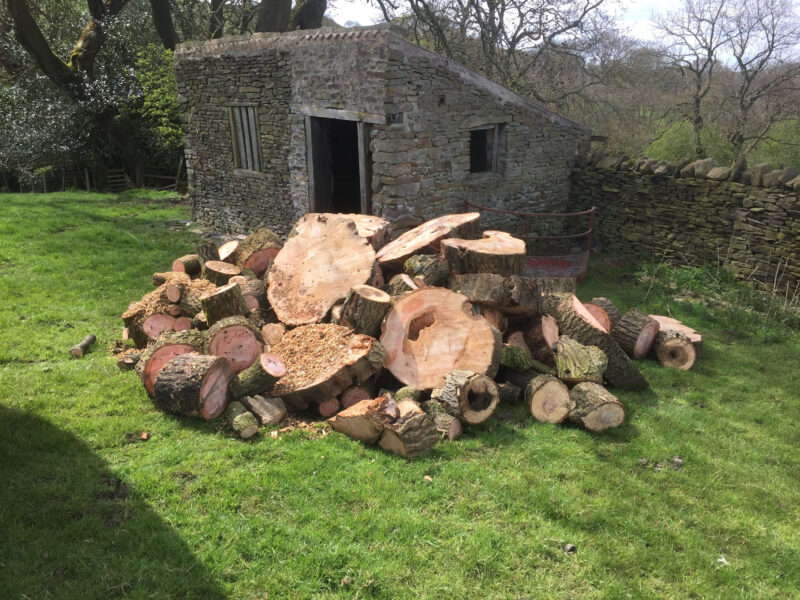 cms-tree-services-fallen-ash-removal-kelbrook-after-cuttng