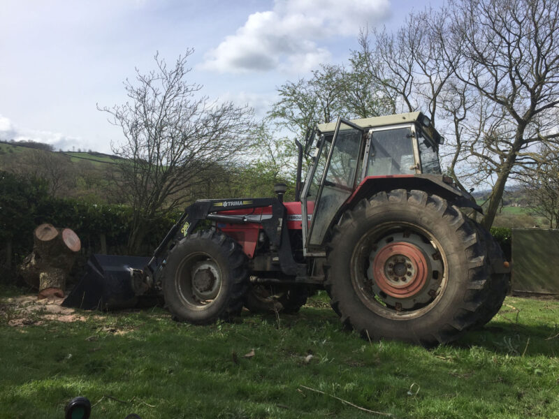 cms-tree-services-fallen-ash-removal-kelbrook-tractor