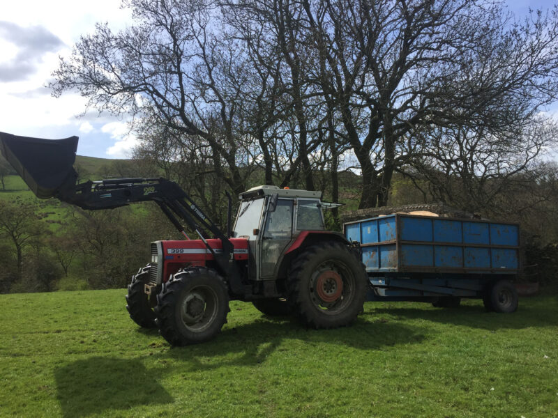 cms-tree-services-fallen-ash-removal-kelbrook-trailer-wood