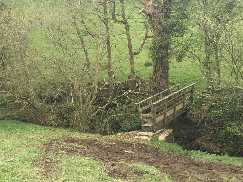 cms-tree-services-fallen-bough-footbridge-grindleton-clear-footbridge