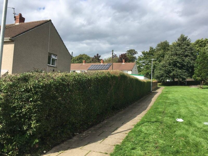 cms-tree-services-hedge-reduction-burnley-6
