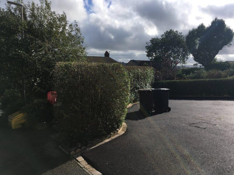 cms-tree-services-hedge-trimming-reduction-barrowford-after-1
