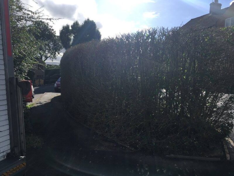 cms-tree-services-hedge-trimming-reduction-barrowford-after-2