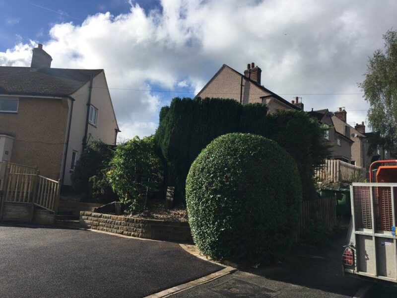 cms-tree-services-hedge-trimming-reduction-barrowford-after-3