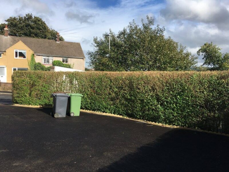 cms-tree-services-hedge-trimming-reduction-barrowford-after-6