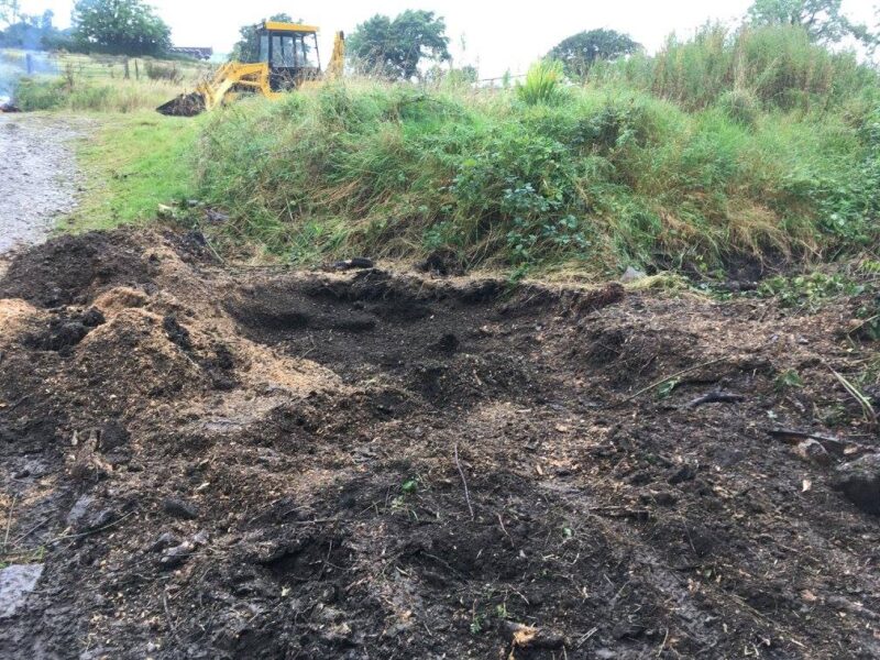 cms-tree-services-large-sycamore-stump-ground-out-barnoldswick-1