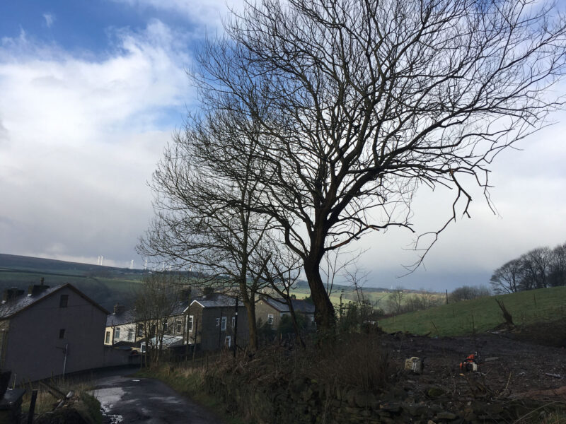 cms-tree-services-site-clearance-accrington-2