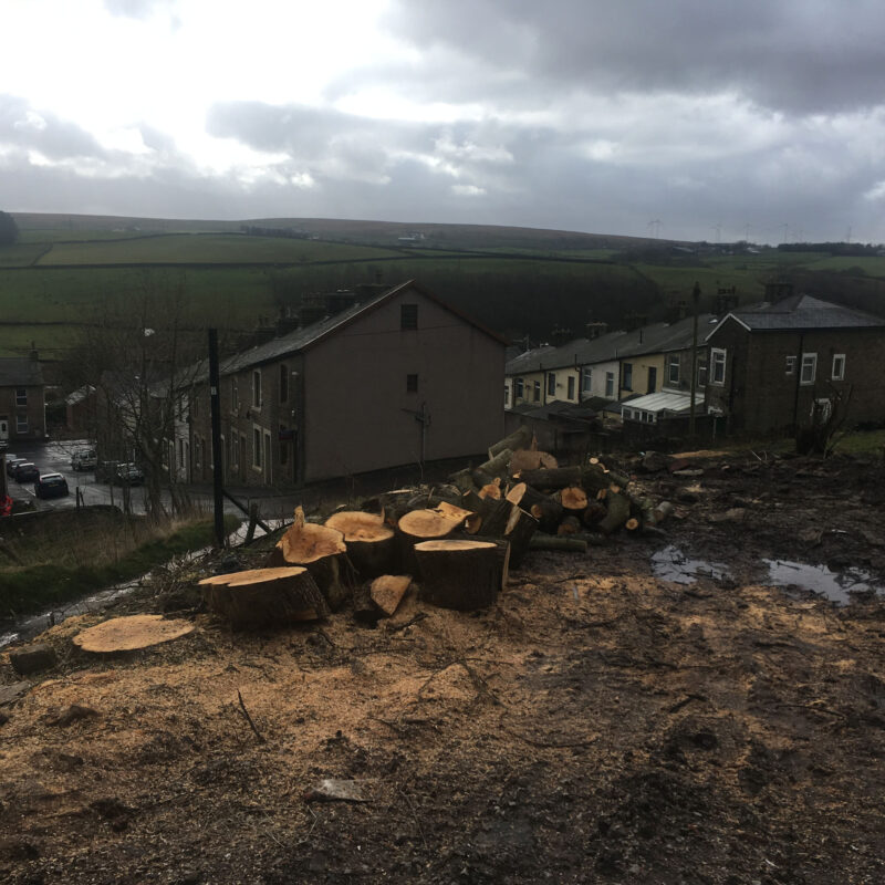 cms-tree-services-site-clearance-accrington-4