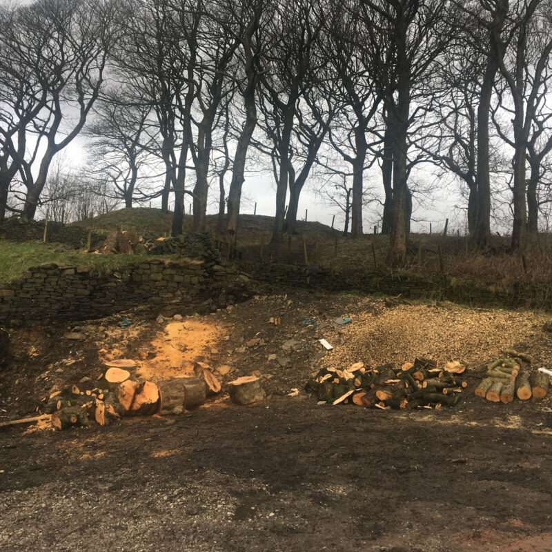 cms-tree-services-site-clearance-accrington-6