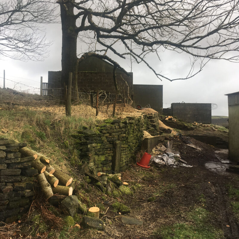 cms-tree-services-site-clearance-accrington-hard-working-area