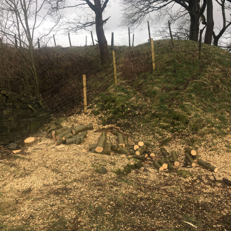 cms-tree-services-site-clearance-accrington-logs