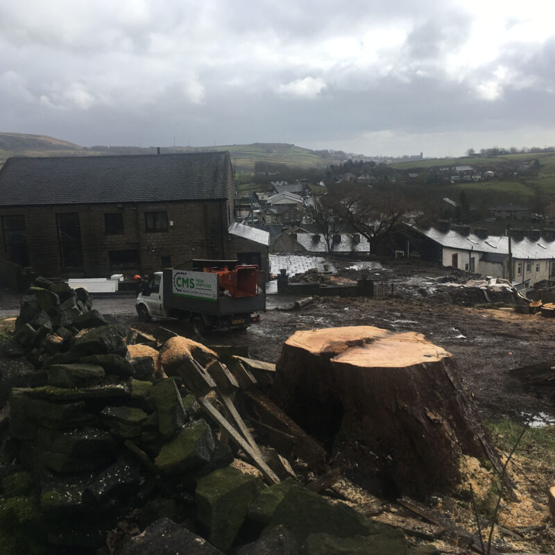 cms-tree-services-site-clearance-accrington-stump