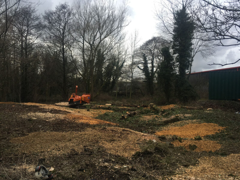 cms-tree-services-site-clearance-clitheroe