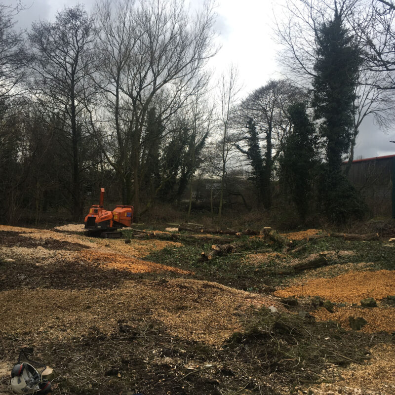 cms-tree-services-site-clearance-clitheroe