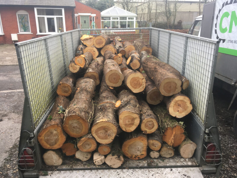cms-tree-services-site-clearance-clitheroe-logs