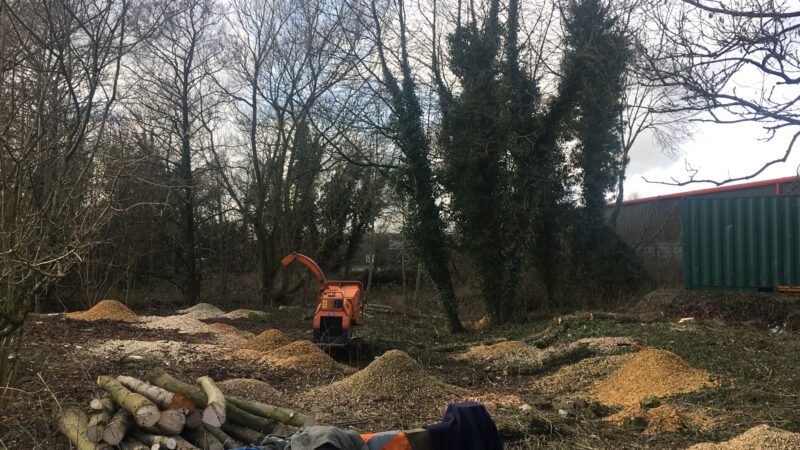 cms-tree-services-site-clearance-clitheroe-progress