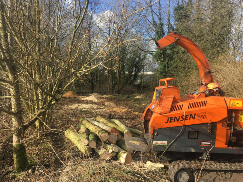 cms-tree-services-site-clearance-clitheroe-starting