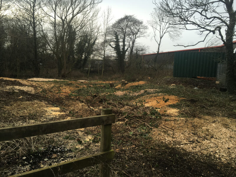 cms-tree-services-site-cleared-clitheroe