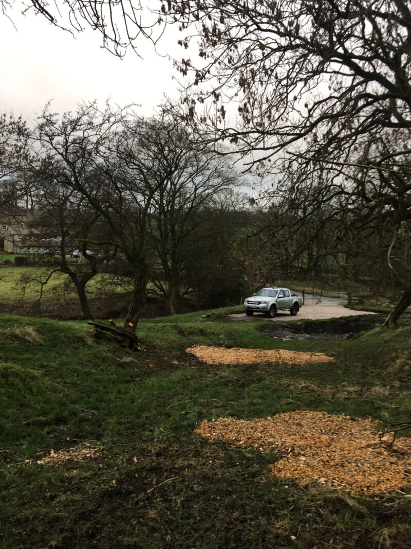 cms-tree-services-site-clearing-thornton-afterjpg