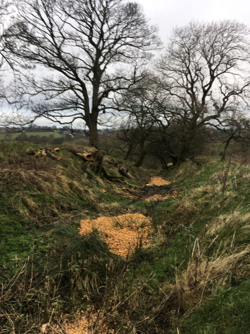cms-tree-services-site-clearing-thornton-making-footpath