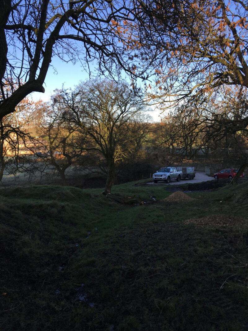 cms-tree-services-site-clearing-thornton-work-in-progress