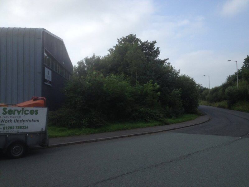 cms-tree-services-small-site-clearance-commercial-premises-earby (1)