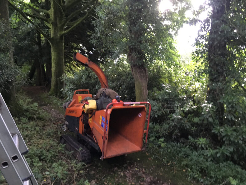 cms-tree-services-split-ash-tree-removed-foulridge-machinery