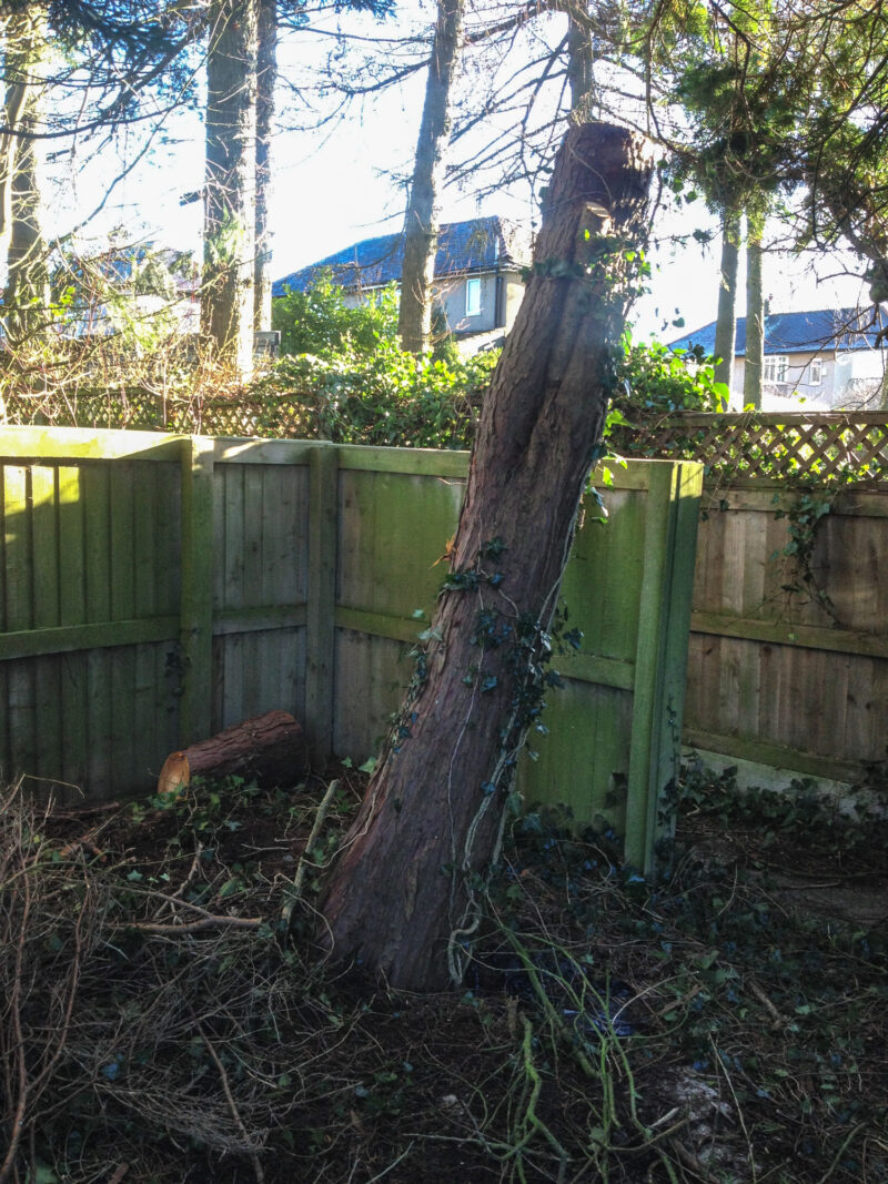 cms-tree-services-storm-damage-call-out-3