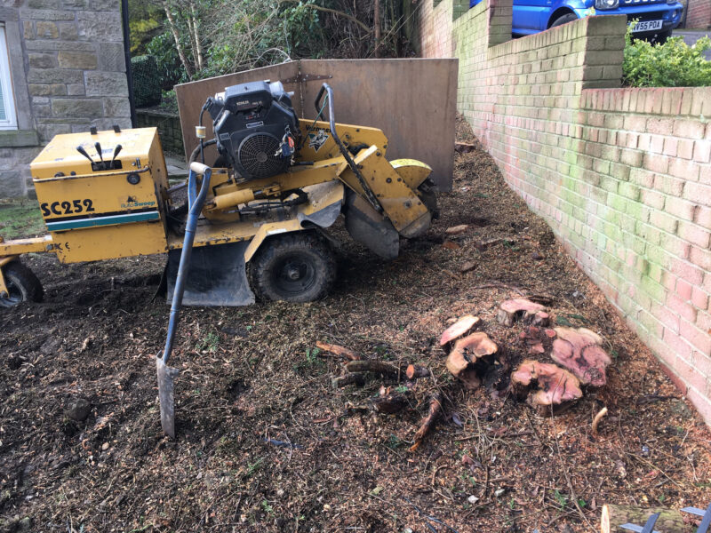 cms-tree-services-stump-grinding-barnoldswick