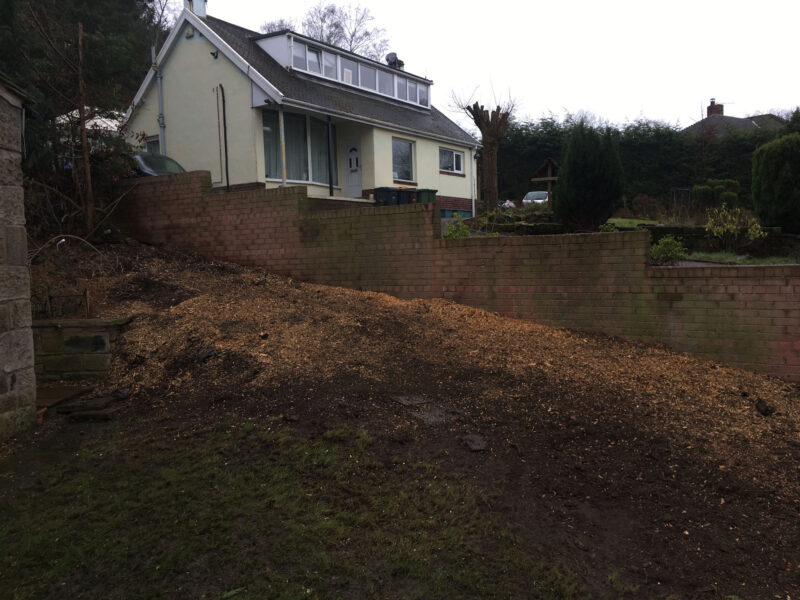 cms-tree-services-stump-grinding-barnoldswick-cleared